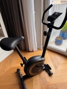 Rowerek stacjonarny - Rower magnetyczny HS-015H Vox złoty