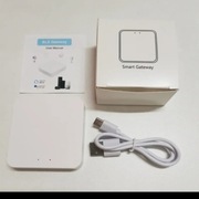 Bramka,wyłącznik pojedynczy sterowanie Wi-fi(116&)