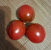 Nasiona pomidor Kumato min. 10szt.