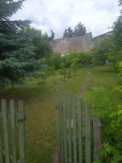 Działka ROD "Stary Widzew" 360 m2