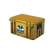 Steam Skrzynie cs go Vanguard phoenix chroma