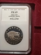 100 zł Żubr Próba  (początki patyny)