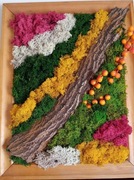 ŻYWY OBRAZ Z MCHU DEKORACJA PREZENT KOLORY 30X40