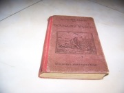 MAYNE REID - DOLINA BEZ WYJŚCIA - 1908 -GEBETHNER