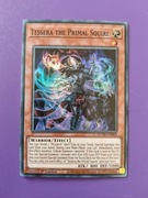 Tessera the Primal Squire (Duelist's Advance)