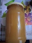 sprzedam miód rzepakowy i lipowy