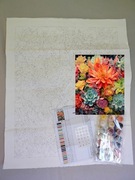 Malowanie po numerach 40x50 sukulenty