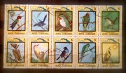 Ptaki Kuby (Aves Cubanas) arkusz znaczków