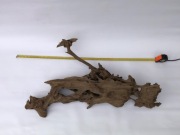 Wielki korzeń prosto z naturalnego strumienia