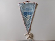 PROPORCZYK LWP WOJSKA OBRONY POWIETRZNEJ KRAJU