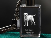 Labrador Retriever brelok sześcienny ŚWIECĄCY