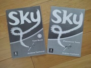 język angielski. materiały do lekcji. placement test. SKY 1 test book