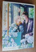 manga Pierwsza miłość Nishimoto nowa DANGO