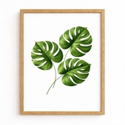 Minimalistyczna Monstera – druk botaniczny w drewnianej ramce dekoracja