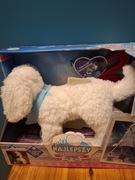 Piesek chodzący na smyczy