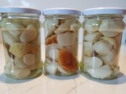 Maślak grzyby marynowane 