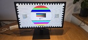 Monitor LG 24GM79-B 144HZ