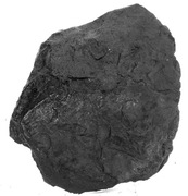 LIGNIT  DO AKWARIUM GL8