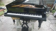 Fortepian Blüthner 1883r dł 1.90m