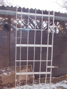 Ciężka krata okienna.