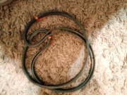 Nowy pasek wielorowkowy Vega PJ1600/630J - 2 szt