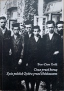 Cisza przed burzą. Życie polskich Żydfów przed Holokaustem