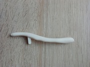 Prawy obojczyk kostek szkielet ciało człowieka National Geographic