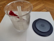 Pikantur TUPPERWARE 1,3 l pojemnik na oliwki perła stołowa