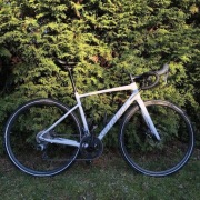 Specialized Allez Sport 54 