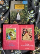 3 tomy w twardej oprawie Lucy Maud Montgomery Ania jak nowe