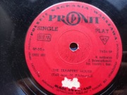 Exotic Duet – The Trampers' House / Tu Solo Tu