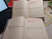 Literatura polska; przewodnik encyklopedyczny