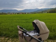 Wózek Anex e type 2 w 1