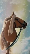 Hobby horse A3 piekny