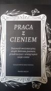 Praca z cieniem-dziennik motywacyjny