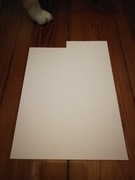 Tabula rasa - czysta kartka