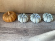 Dynie ceramiczne 4 sztuki