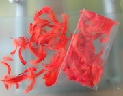 Piórka ozdobne czerwone rękodzieła wielkanoc ślub wesele przyjęcia