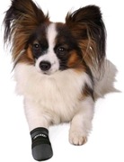 Buty Trixie czarny S