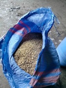 Owies opałowy workowany po 20 kg 