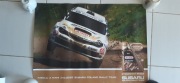 plakat  z autografem kajetan kajetanowicz wrc rally lotos subaru