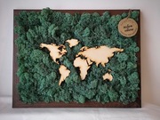 Obraz mech chrobotek 40x50 cm mapa świata