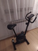Rower treningowy magnetyczny pionowy zipro