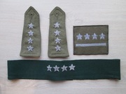 Dystynkcje kapitana.