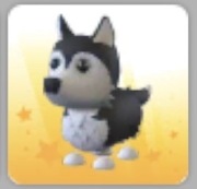 Roblox Adopt me - Husky