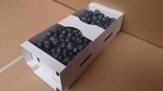 Łubianki 1kg Borówka Amerykańska Koszyczki 