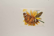 Malediwy Sw 2675** motyle /ms/