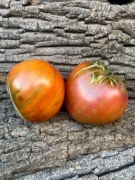 DARK BROWN HONEY Pomidor Kolekcjonerski / 4