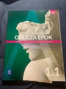 Język Polski Oblicza Epok 1.1 WSiP