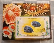 Ryby i koralowce. Umm Al Qaiwain